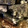 Water Cooling Components