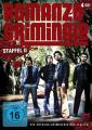 Romanzo Criminale  2. Staffel (DVD)