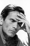 pasolini