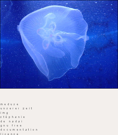 jellyfisch