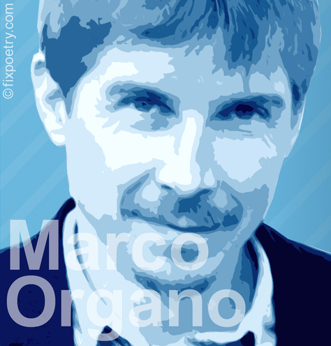 Marco Organo Autor Bibliographie