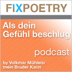 Als dein Gefühl beschlug - Volkmar Mühleis
