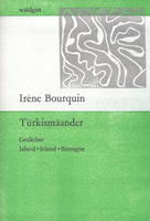 Türkismäander von Irène Bourquin Buch bestellen