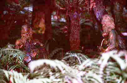 The William Ricketts Sanctuary