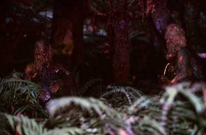 The William Ricketts Sanctuary