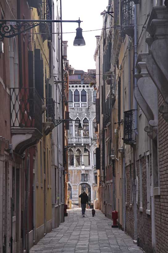 The Carnival of Venice