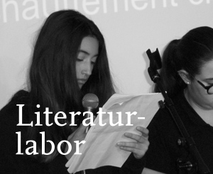 Literaturlabor