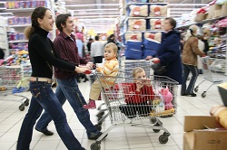 Einkaufswagen LEH