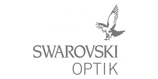 swarovski_6001