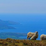 Unterwegs in den Bergen von Beara_Wandern in Irland mit Wanderlust