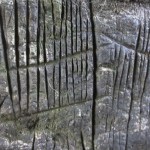 Irland aus der Nähe (3)