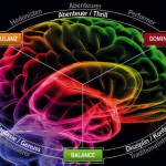 Emotionssysteme des Limbic Modells - Dr. Häusel