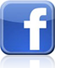 MEDIA Net-Edition Facebook