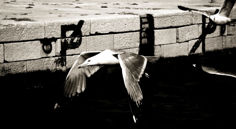 © Valerie Fritsch