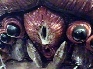 Auge in Auge mit dem Ungeheuer