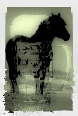 http://www.andrae-martyna.de