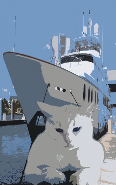 Shikomo