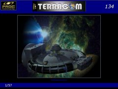Terracom #134