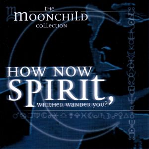 HOW NOW SPIRIT, WHITHER WANDER YOU?