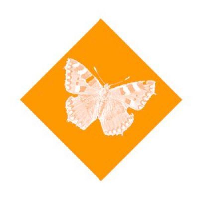 Verlag Monika Fuchs