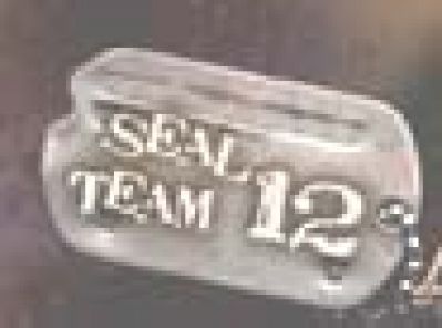Seal Team 12