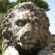 CC0 Public Domain