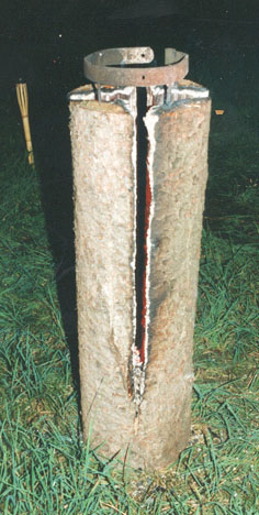 Firewood.jpg