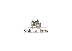 LOGO St Michael WEB resized