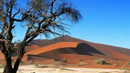 Die Namib-Wüste © picture-alliance / Godong 
