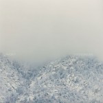 Mashup von Juliane Duda zu dem Buch von Hans-Jost Frey: Wortstellungen zur Stellung der Poesie