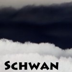 Mashup von Juliane Duda zu dem Buch von Marianne Moore: Kein Schwan so schön