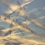 Mashup von Juliane Duda zu dem Buch von Bert Papenfuß: ATION–AGANDA