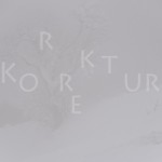 Mashup von Juliane Duda zu dem Buch von Grünbein / Oleschinski / Waterhouse: Die Schweizer Korrektur
