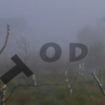 Mashup von Juliane Duda zu dem Buch von Uve Schmidt: Liebe und Tod