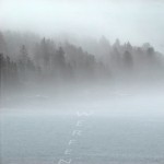 Mashup von Juliane Duda zu dem Buch von Gerschon Ben-David: In den Wind werfen. Versuche um Metabarbarisches