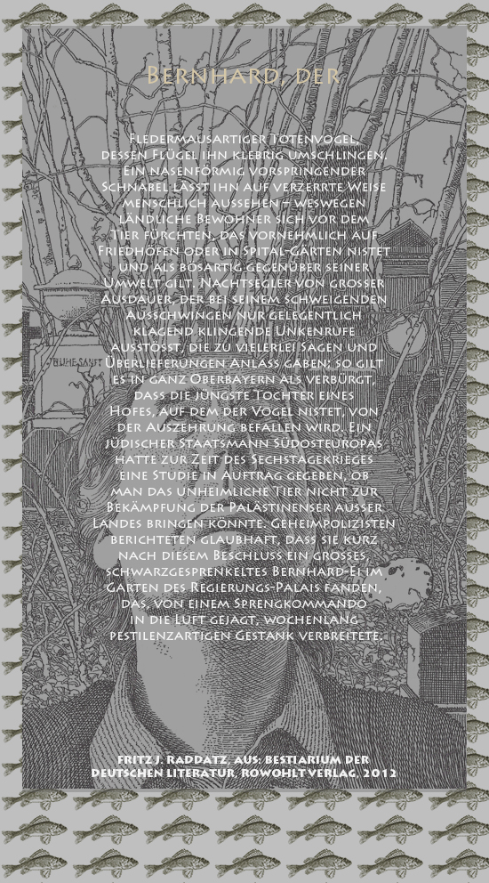 Bild von Juliane Duda mit den Zeichnungen von Klaus Ensikat und den Texten von Fritz J. Raddatz aus seinem Bestiarium der deutschen Literatur. Hier „Bernhard, der“.