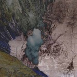 Mashup von Juliane Duda zu dem Buch von Michael Hamburger: Baumgedichte