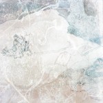 Mashup von Juliane Duda zu dem Buch von Michael Hamburger: Das Überleben der Erde