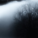 Mashup von Juliane Duda zu dem Buch von Michael Hamburger: Wahrheit und Poesie