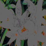 Mashup von Juliane Duda zu dem Buch von Jannis Ritsos: Deformationen