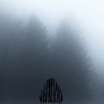 Mashup von Juliane Duda zu dem Buch von Andreas Thalmayr: Das Wasserzeichen der Poesie