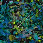 Mashup von Juliane Duda zu dem Buch von Ernest Wichner (Hrsg.): Das Land am Nebentisch
