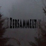 Mashup von Juliane Duda zu dem Buch von Roland Berbig, Birgit Dahlke, Michael Kämper-van den Boogart und Uwe Schoor (Hrsg.): Zersammelt