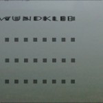 Mashup von Juliane Duda zu dem Buch von Jan Skácel: wundklee