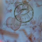 Mashup von Juliane Duda zu dem Buch von Friedrich Schröder-Sonnenstern: Seelenerkennungsdienst
