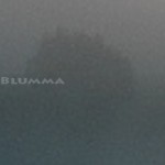 Mashup von Juliane Duda zu dem Buch von Gerhard Falkner: Kanne Blumma