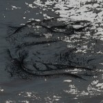 Mashup von Juliane Duda zu dem Buch von Peter Huchel: Poesiealbum 277