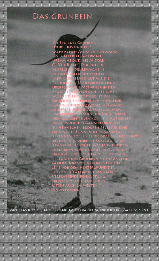 Bild von Juliane Duda mit den Übermalungen von C.M.P. Schleime und den Texten von Andreas Koziol aus seinem Bestiarium Literaricum. Hier „Das Grünbein“.