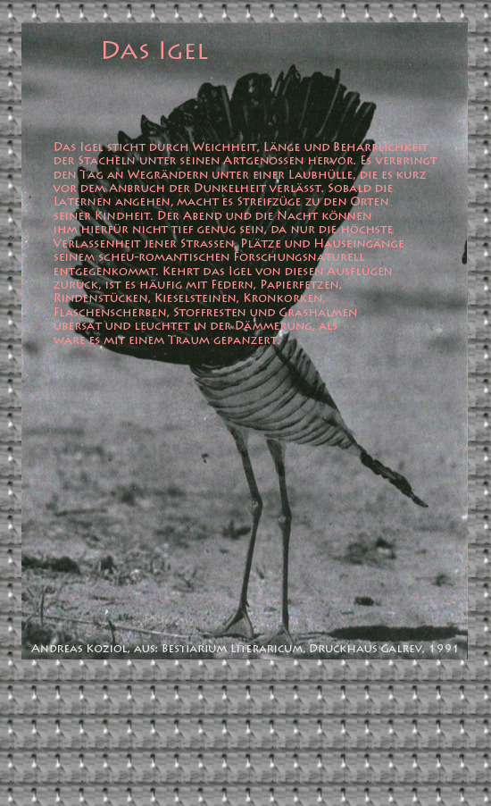 Bild von Juliane Duda mit den Übermalungen von C.M.P. Schleime und den Texten von Andreas Koziol aus seinem Bestiarium Literaricum. Hier „Das Igel“.