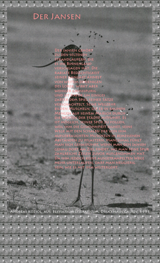 Bild von Juliane Duda mit den Übermalungen von C.M.P. Schleime und den Texten von Andreas Koziol aus seinem Bestiarium Literaricum. Hier „Der Jansen“.